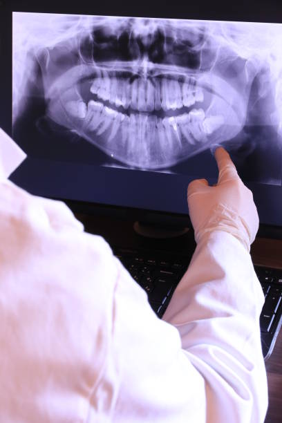 Best Emergency X-Rays and Diagnostics in Ness City, KS